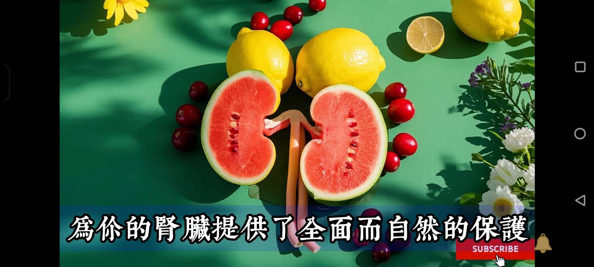 Kidney_3_Fruits